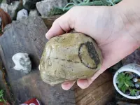 20190824_193744.webp