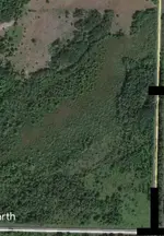 MIcachehunt2019.webp