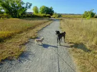walk 100619 1.webp