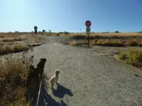 walk 100619 2.webp