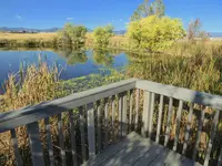 walk 100619 3.webp