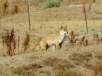 walk 100619 4.webp
