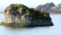 new seals 026.webp