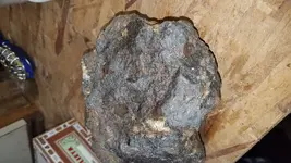 20191025_094435.webp