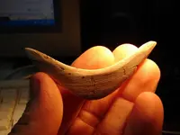 nicULU5.webp
