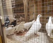 20190925_232743.webp