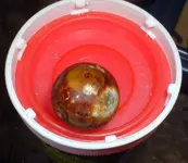 DSCF0001.webp