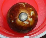 DSCF0003.webp