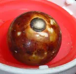 DSCF0004.webp