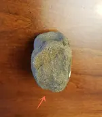 hammerL1.webp