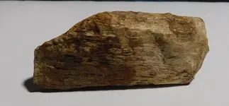 mastodonrib.webp mastodonrib.webp
