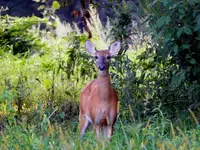 K1600_DSCN7069.webp