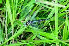 K1600_DSCN6994_InPixio.webp