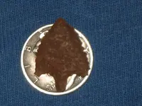 Friday Dig  9-16-11 009.webp
