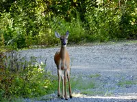 K1600_DSCN7016.webp