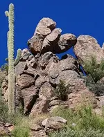 Miners Needle holeintherocks.webp