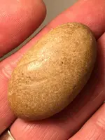 ImageUploadedByTreasureNet.com1571259810.202377.webp