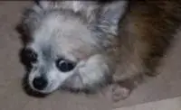 Buster small.webp