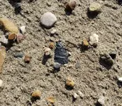 20191006_161734.webp