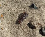 20191006_161756.webp
