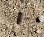 20191006_161852.webp