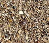20191006_161923.webp