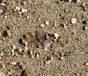 20191006_161944.webp