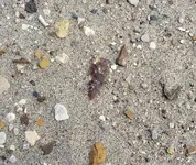 20191006_162052.webp
