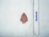 DSCN1783.webp