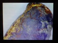 DSCN2411.webp