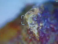 DSCN2412.webp