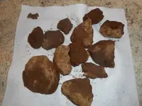 DSCN4001.webp