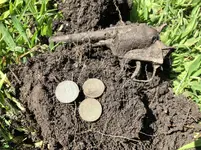 wheats.webp