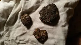 20190918_030833.webp