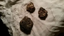 20190918_035429.webp