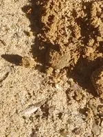 20190917_091731.webp