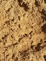 20190917_102537.webp