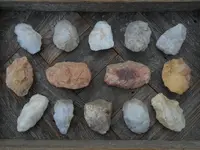 DSCN1730.webp