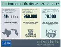 burden-flu-infographic-update.jpg