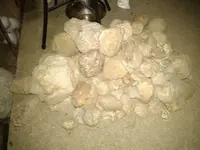 IMG_20190926_211158.webp