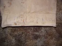 000_2339.webp
