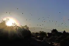 Balloon Corona6x4.webp