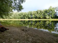 K1600_DSCN7564.webp