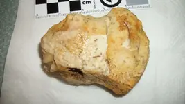 100_6706.webp