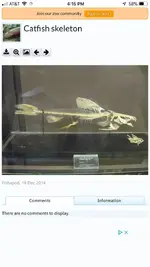 ImageUploadedByTreasureNet.com1567113375.383237.webp