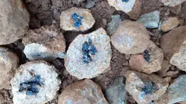 20191015_085553.webp