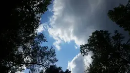 20190926_140415.webp