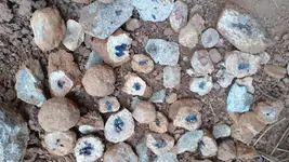 20191015_085538.webp