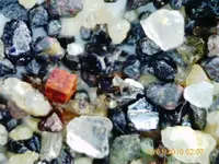 PICT0010.webp