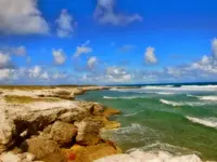 Windward Cliffs.webp